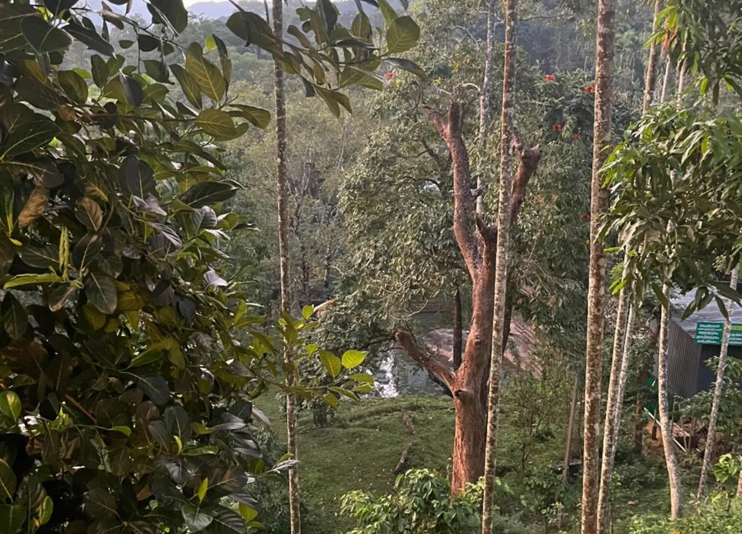 Variyath Homestay Thirunelli 0*, Thirunelly Hindistan